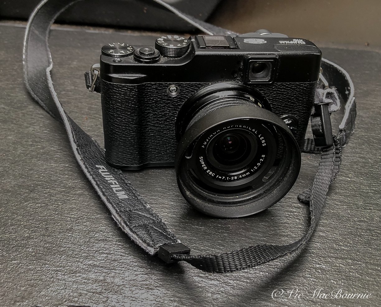 Ten year review: Fujifilm X10 is ideal camera for garden